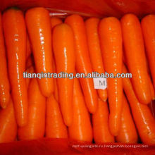 Китай свежий морковный низкой цене